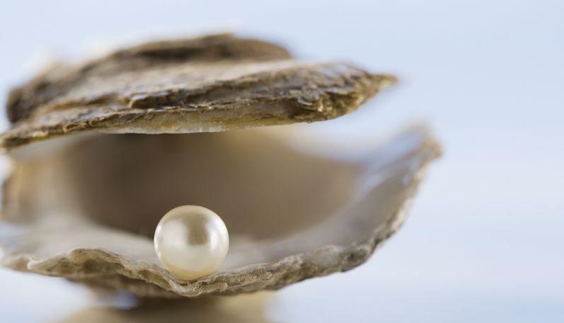close-up-of-pearl-in-oyster-talajavaher-magazine